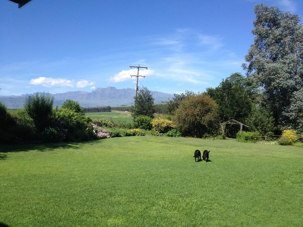 Little Acres Drakensberg Accommodation Champagne Valley Экстерьер фото