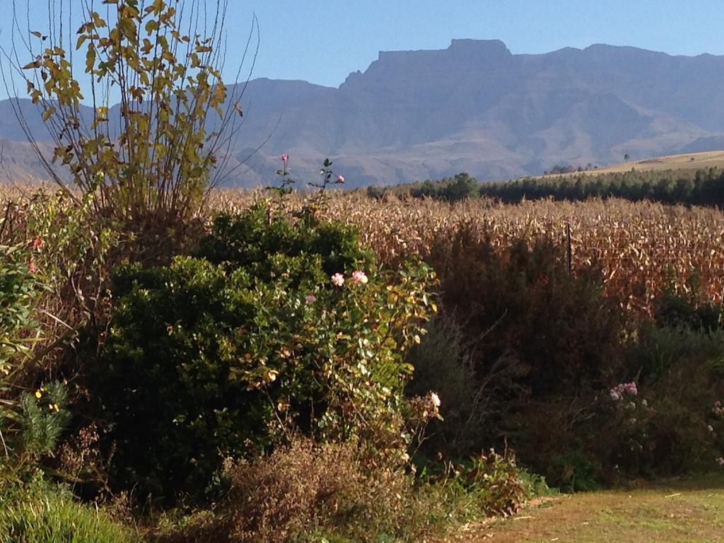 Little Acres Drakensberg Accommodation Champagne Valley Экстерьер фото